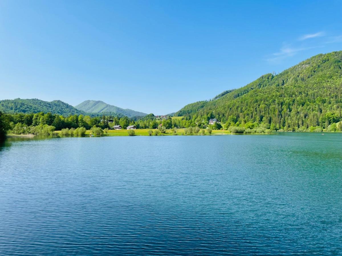 Place2Be - With Infinity Pool Faistenau Εξωτερικό φωτογραφία