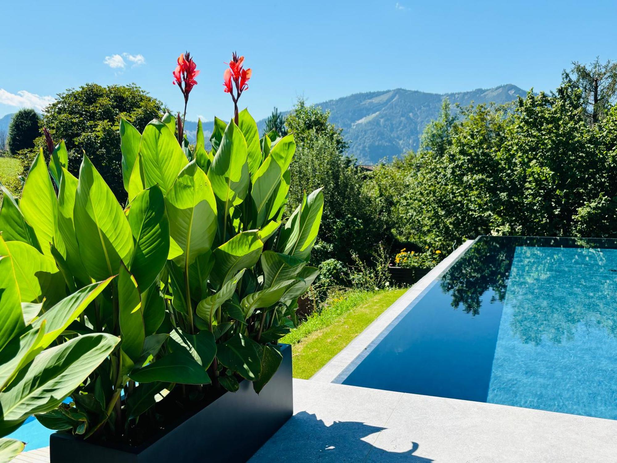 Place2Be - With Infinity Pool Faistenau Εξωτερικό φωτογραφία